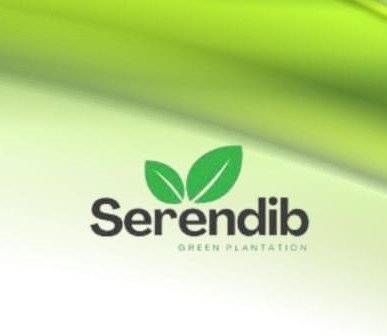 Business Development Executive - Intern